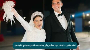 ترند مفاجئ.. زفاف دينا هشام يثير جدلًا واسعًا على مواقع التواصل